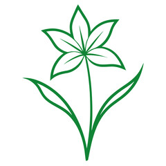  zephyranthes candida green line art on-white