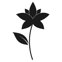 zephyranthes drummondii silhouette vector on-white