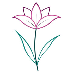 line art zephyranthes rosea