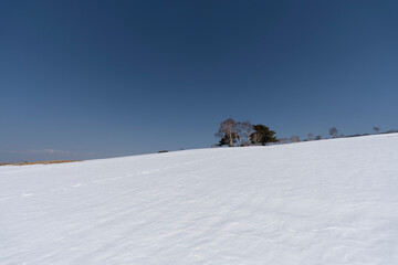 残雪期の四阿山