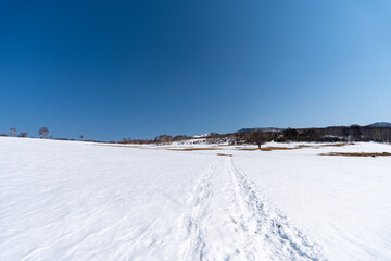残雪期の四阿山