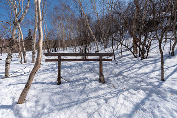 残雪期の四阿山