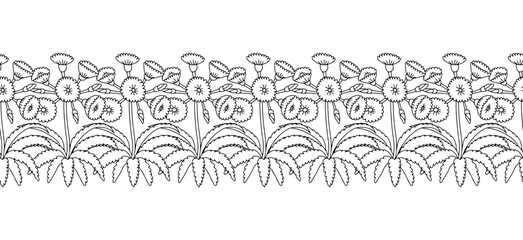 Stripe pattern with black and white line art canary islands flowers Tree Sonchus. Floral horizontal seamless border