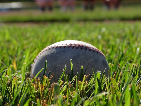 baseball on grass