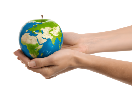 Hands are holding an apple painted like the earth isolated on transparent background
