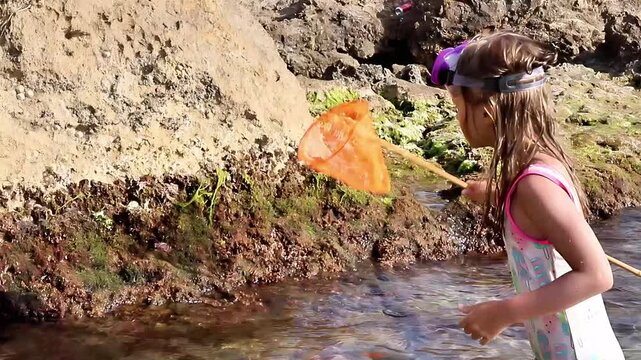 La Pineda, Spain - June 09, 2023: Young girl exploring tide pools with a net, discovering marine life along rocky shore, vibrant ocean scene