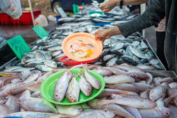 People group buy seafood fish hand grab in local traditional market
