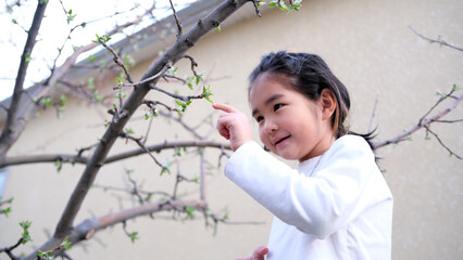 Funny little girl is exploring nature and the world. An Asian girl gently touches a green leaf on a tree branch with her finger