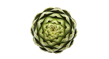 Obraz premium Closeup of a single green artichoke isolated on transparent background, showcasing its fresh and organic nature, perfect for culinary and healthy eating concepts