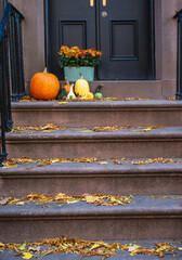 Pumpkins and potted plants on townhouse steps in New York City