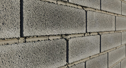 Close-up captures the textured surface of a gray cinder block wall, showcasing the rough, porous material and the linear pattern of the blocks and mortar in strong directional sunlight.