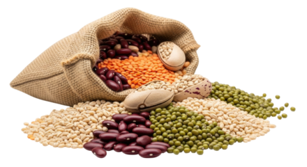Burlap Bag with Assorted Grains, transparent background, cutout PNG