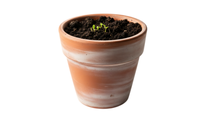 Small seedling in a terra cotta pot isolated on transparent background, symbolizing new life, growth, and the beginning of a home garden, cultivated with care and nurture
