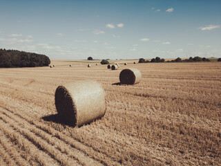 A dry field with bales of hay under a blue sky during the day
