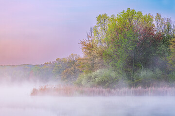 Spring landscape at dawn of the shoreline of Whitford Lake, Fort Custer State Park, Michigan, USA