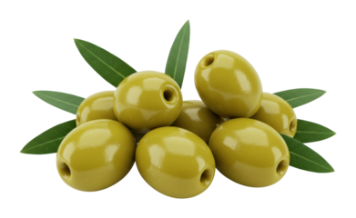 Harvesting fresh green olives mediterranean region food natural setting culinary delights isolated PNG