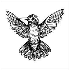 Obraz premium A detailed illustration of a hummingbird in flight. The bird has iridescent feathers and is depicted with wings spread wide, showcasing its agility and beauty.