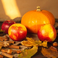 Autumn still life with pumpkin, apples and cinnamon sticks