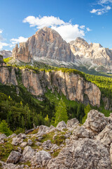 Sunny Rocks and Green Forest