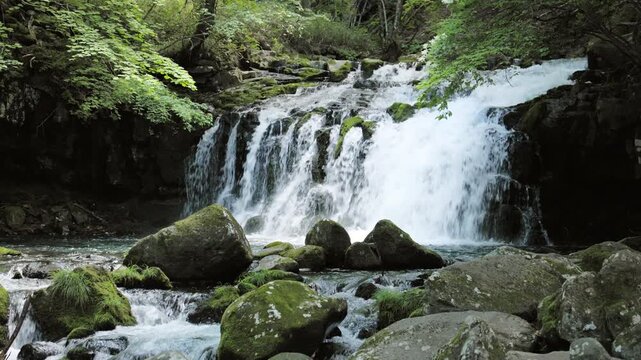 Waterfall with Abundant, Pure Water Flowing from Underground Sources in the Virgin Forest | Tateshina Otaki Waterfall, Nagano, Japan