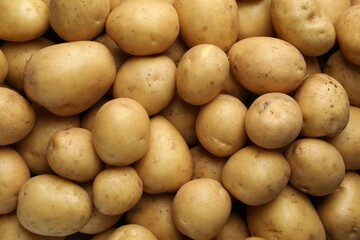 Fresh raw potatoes as background, top view