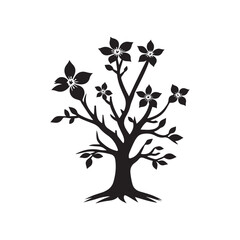 Dogwood Tree Silhouette Isolated on White Background.