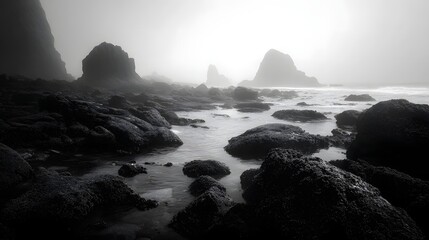 Foggy Rocky Shoreline with Ocean Waves and Sea Stacks coast beach