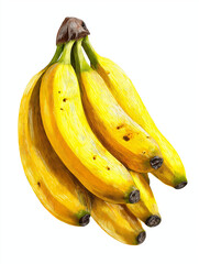 bunch of bananas on white background 