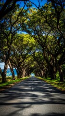 Fototapeta premium Scenic Roadway Through Lush Tree Canopy