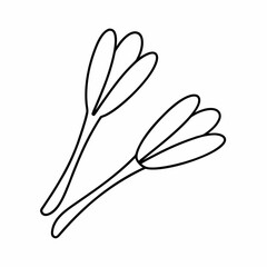 Saffron Stigma Outline Vector