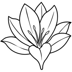 Saffron Stigma Outline Vector