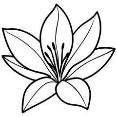 Saffron Stigma Outline Vector