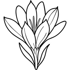 Saffron Stigma Outline Vector
