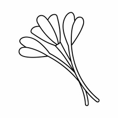 Saffron Stigma Outline Vector