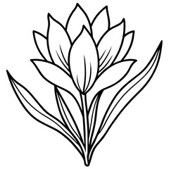 Saffron Stigma Outline Vector