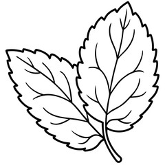 Lemon Balm Leaf Outline Vector