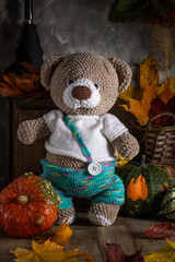 Knitted teddy bear, colorful pumpkins and dry leaves near gray wall