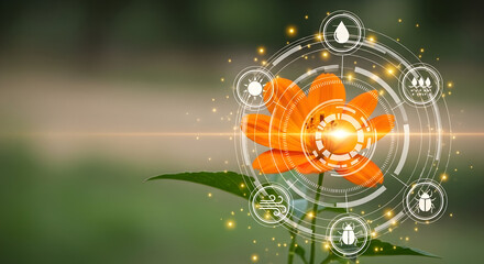 Vibrant orange flower surrounded by a digital interface displaying environmental factors and plant health analysis