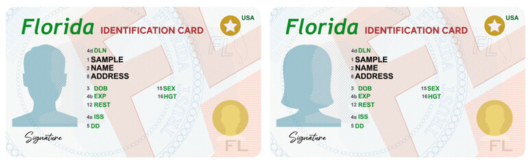 Florida Identification cards vector illustration. ID card design  © Mariia
