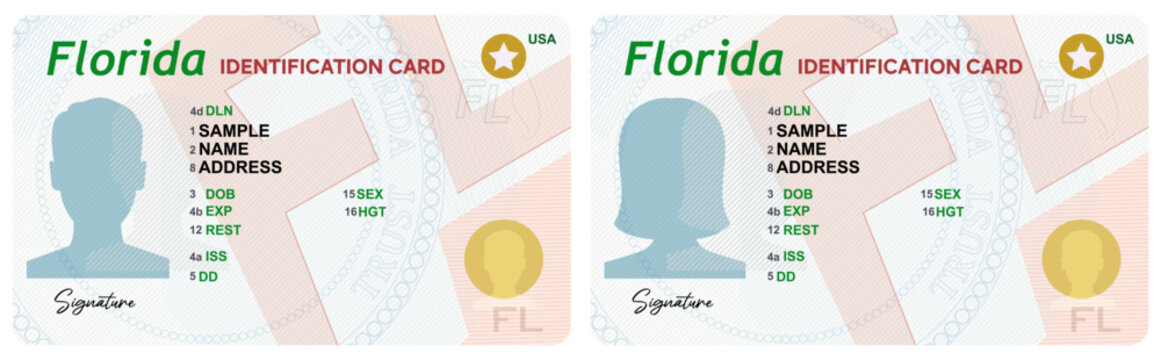 Florida Identification cards vector illustration. ID card design 