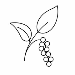 Black Peppercorn Outline Vector