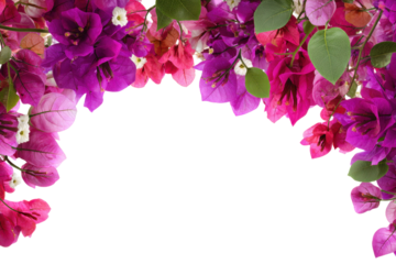Beautiful bougainvillea spring floral blossom border isolated on transparent background. Colorful flower frame. blossom flower with green leaves. Mockup from flowers. Spring summer design elements PNG