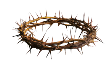 Crown of thorns on transparent background, cutout