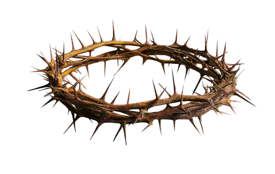Crown of thorns on transparent background, cutout