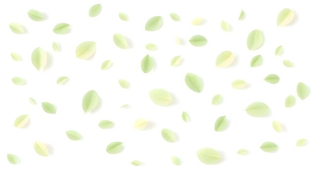 나뭇잎 패턴 일러스트leaf pattern illustration