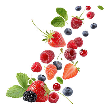 Berries collection falling in the air isolated on transparent and white background png mixed berries flying png fruit explosion png berry assortment png floating fruits png