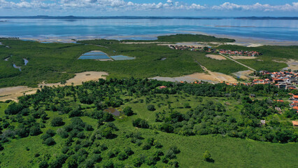 Natural pool in the middle of the mangrove