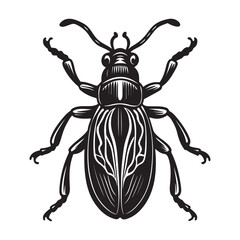 A Close-up Macro Shot of a Weevil, a Common Agricultural Pest with a Unique Elongated Snout, Damaging a Grain or Plant