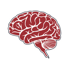 Stylized red and white human brain illustration with dark blue outline anatomy medical