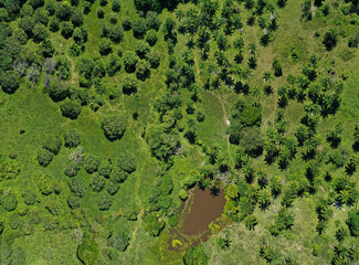 Grass field and reservoir for irrigation panorama aerial top down view